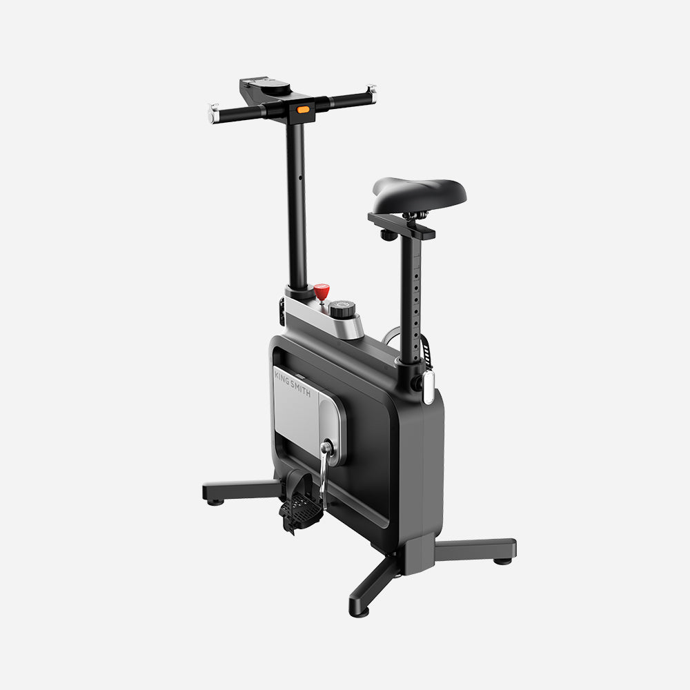 Kingsmith Foldable Workstation Bike W1B