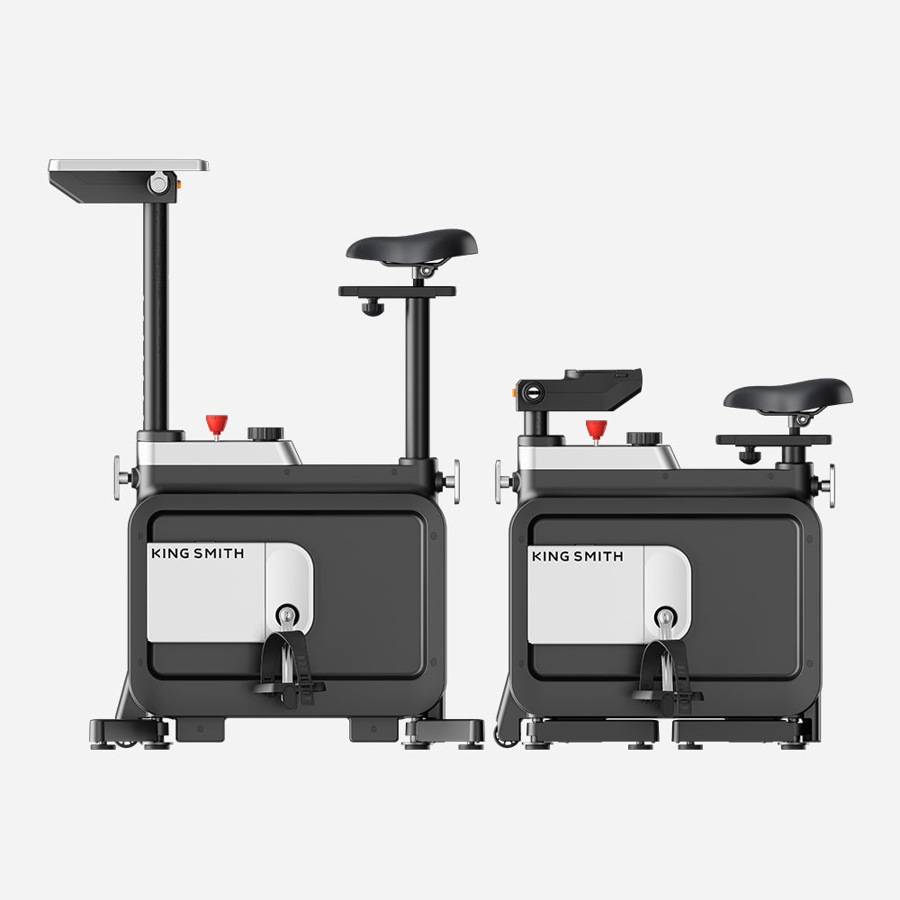 Kingsmith Foldable Workstation Bike W1B