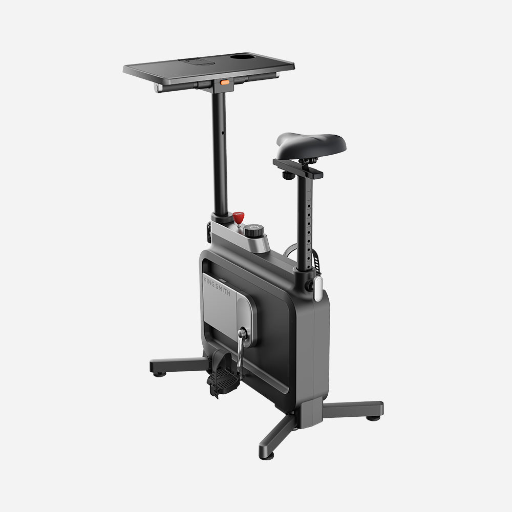 Kingsmith Foldable Workstation Bike W1B