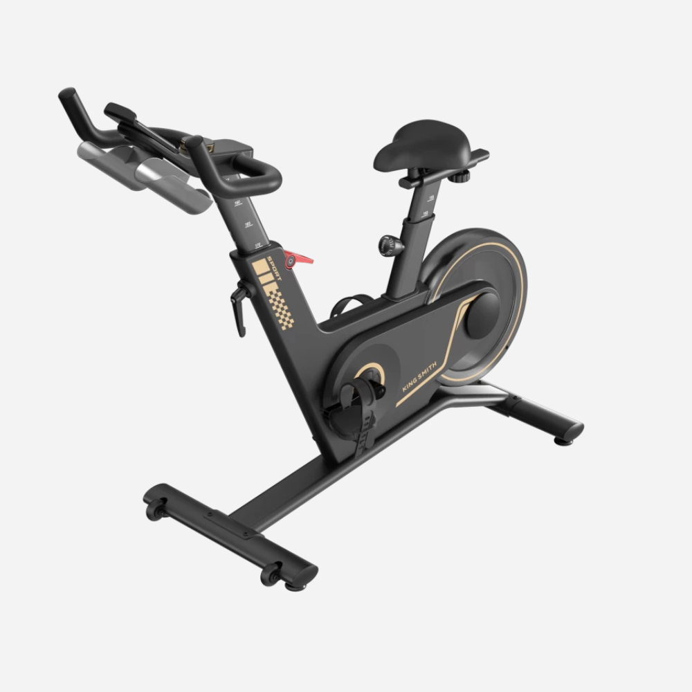 Kingsmith Sprint Bike PB08S