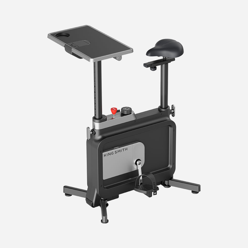 Kingsmith Foldable Workstation Bike W1B