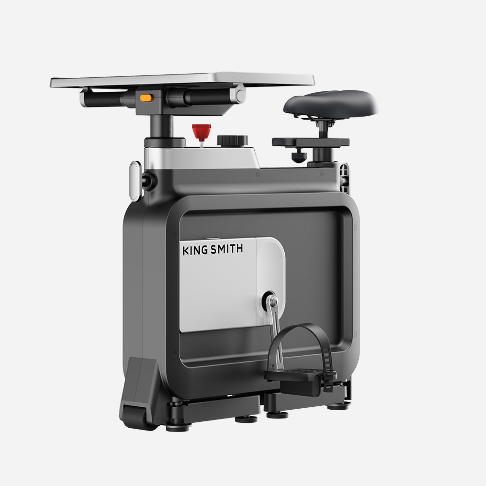 Kingsmith Foldable Workstation Bike W1B