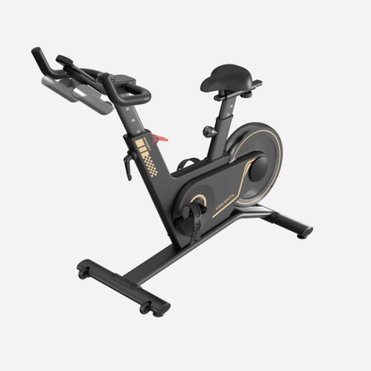 Kingsmith Sprint Bike PB08S