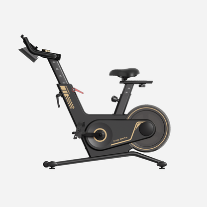 Kingsmith Sprint Bike PB08S