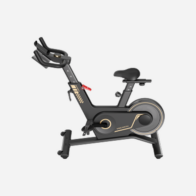 Kingsmith Sprint Bike PB08S