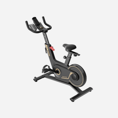Kingsmith Sprint Bike PB08S