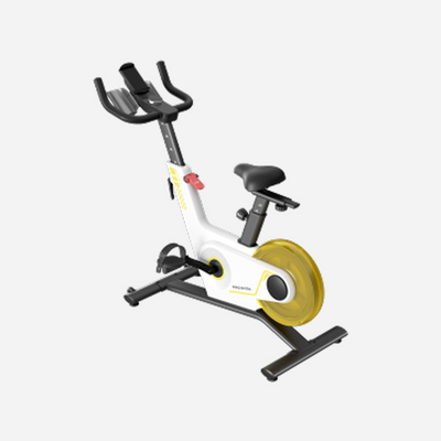 Kingsmith Sprint Bike PB08S