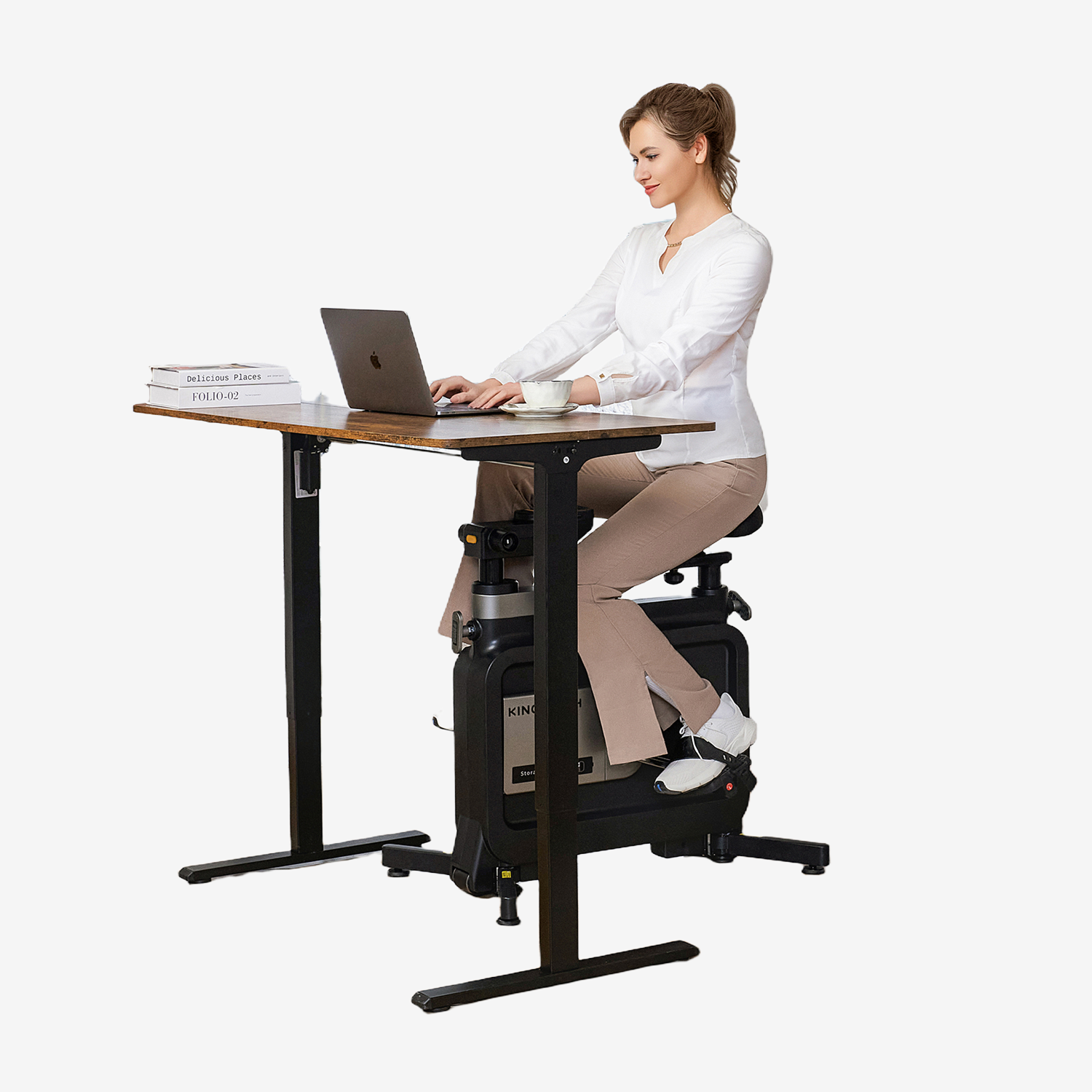 Kingsmith Foldable Workstation Bike W1B