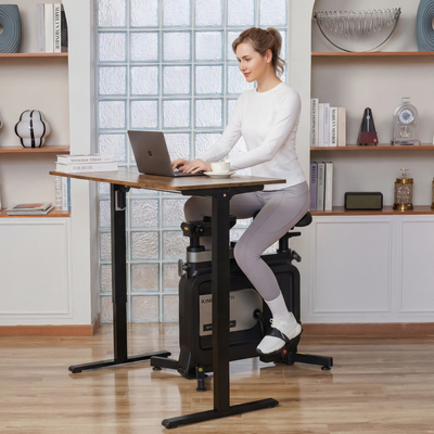Kingsmith Foldable Workstation Bike W1B