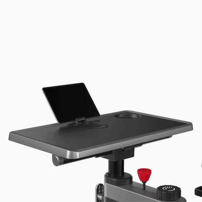 Kingsmith Foldable Workstation Bike W1B