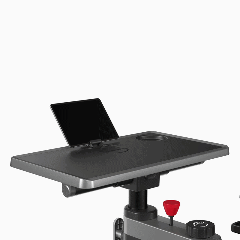 Kingsmith Foldable Workstation Bike W1B
