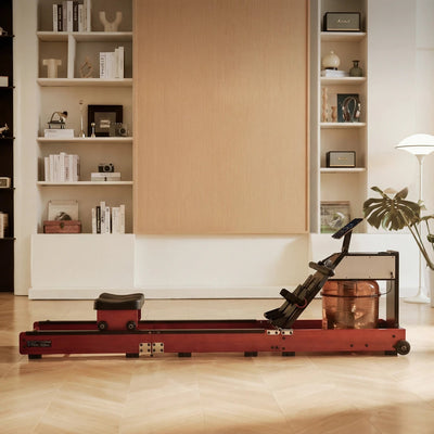Kingsmith WR10 Tri-fold Water Rowing Machine