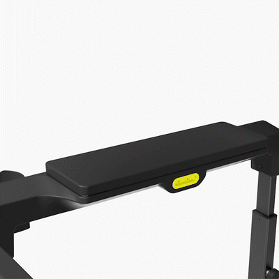WalkingPad MX10 Vertical Fold Treadmill