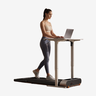 [NEW] Kingsmith Treadmill R3 Hybrid+