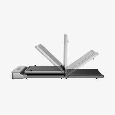 Kingsmith Z1R (Z1F + handrail)